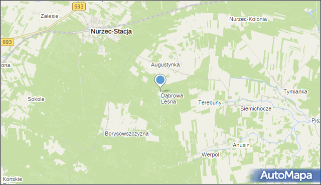 mapa Dąbrowa Leśna, Dąbrowa Leśna na mapie Targeo